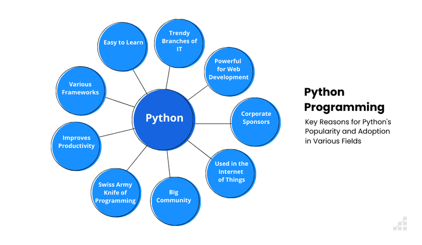 Reasons for Python’s Popularity in 2025 | Scalable Path®