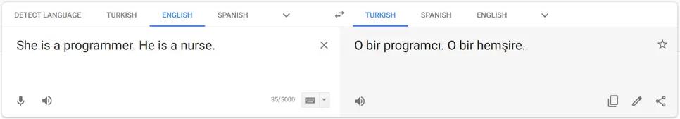 Screenshot of Bias in Google Translate from English to Turkish