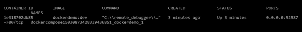 Screenshot of terminal running docker ps command