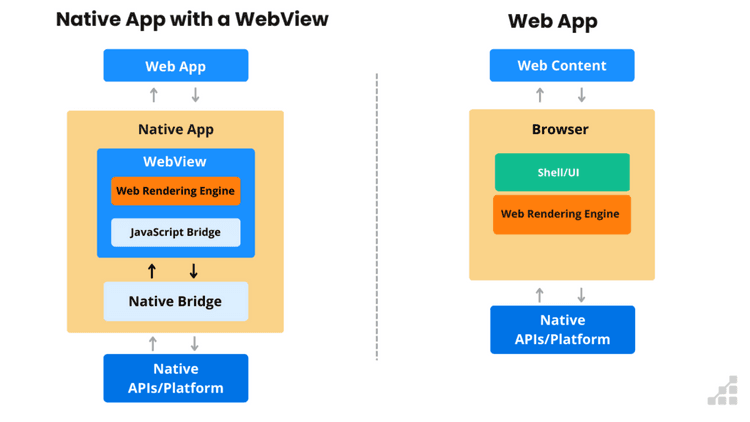 React Native vs Native App Development: Differences and Considerations